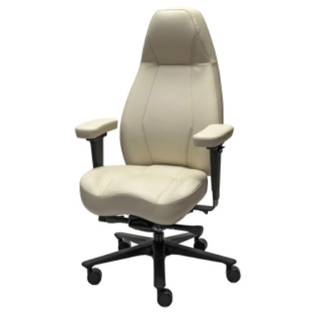 Lifeform® chairs 2490 High-back