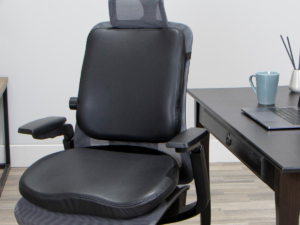 LIFEFORM® lumbar Cushion Support