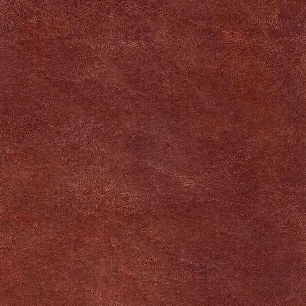 Close-up of rich brown leather texture showing natural grain patterns and subtle surface variations in a warm, reddish-brown tone.